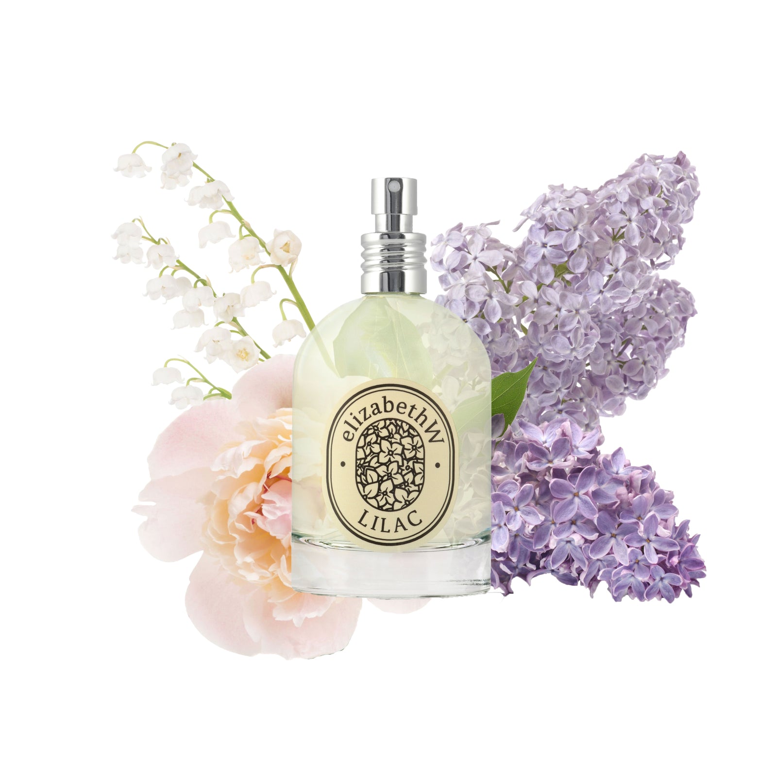 A vibrant cluster of lilac flowers in shades of purple, white, and pink bloom against a backdrop of green leaves. The flowers are in various stages of blossoming, creating a colorful and lush display.