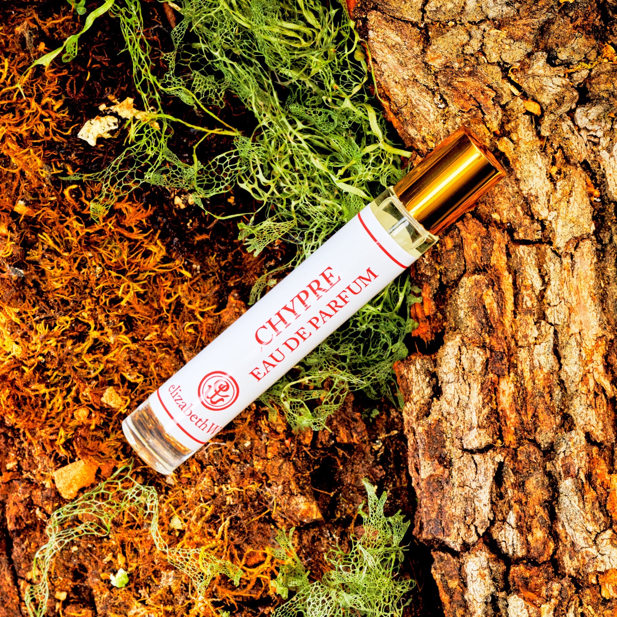 A glass bottle of Chypre Eau de Parfum with a gold cap lies on textured tree bark and green moss, blending natural earthy and fresh elements.
