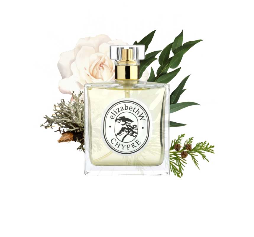 A perfume bottle labeled "elizabethW CHYPRE" is surrounded by floral and foliage illustrations. Arrows point to various notes: sandelwood, honeyed rose, oakmoss, jasmine, patchouli, cedar, and more oakmoss.