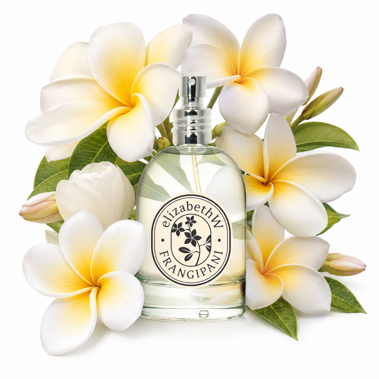 A clear perfume bottle labeled “elizabethW FRANGIPANI” is surrounded by fresh, white and yellow frangipani flowers with green leaves, set against a white background.