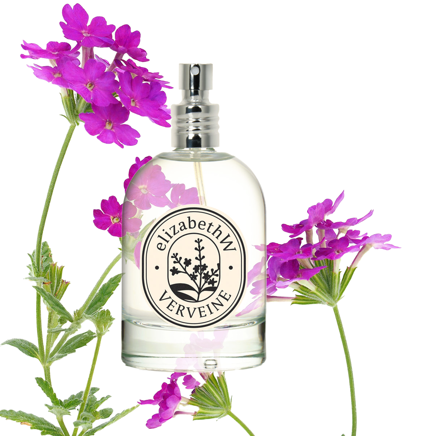 Verveine